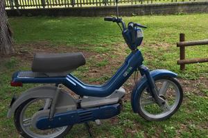 Atala Green 1990
