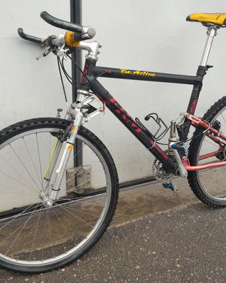 bicicletta frm be active 
