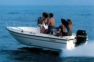 Barca 5,3 m - 115 HP - 2T