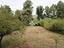 Immagine 29