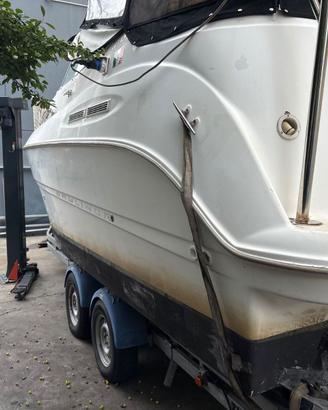 barca  bayliner