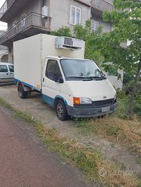 cella frigo e Iveco 65 