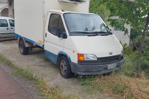 cella frigo e Iveco 65 