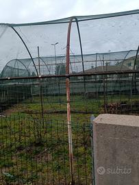serre per ortaggi 