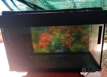 acquario da 80 litri