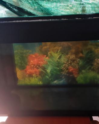 acquario da 80 litri
