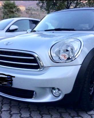 Mini Cooper D Paceman business