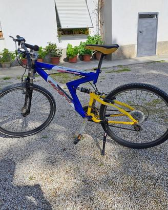 Mountain bike
