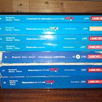 libri di matematica zanichelli 