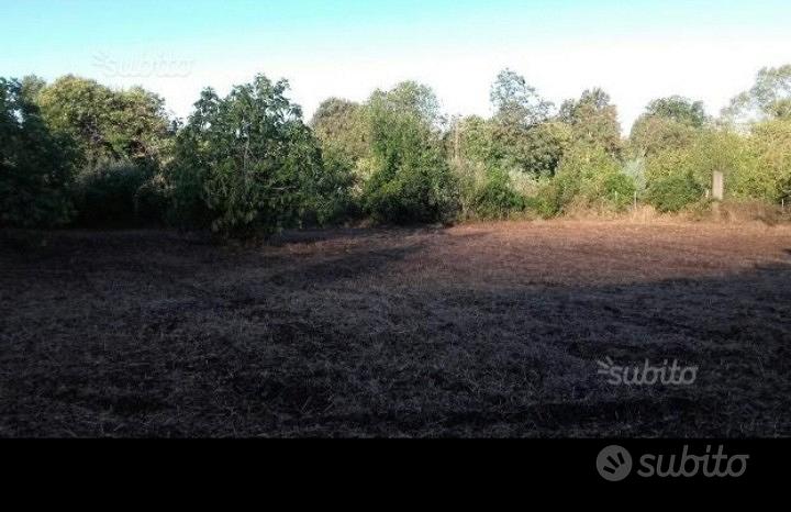 Terreno di2700 mq sito in carano di sessa aurunca - Vista 4