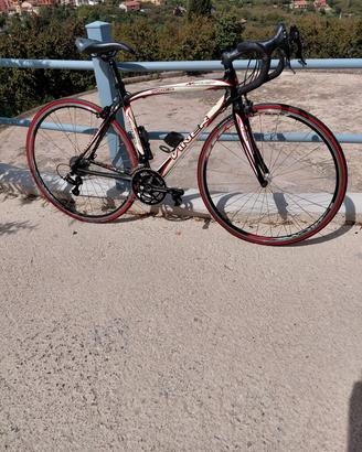 Bici da corsa Viner