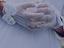 Immagine 4