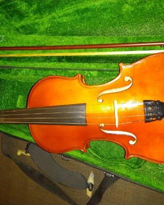 Violino
