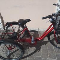 Bicicletta tre ruote triciclo per adulti