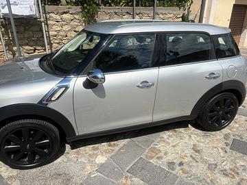 Minicoutryman