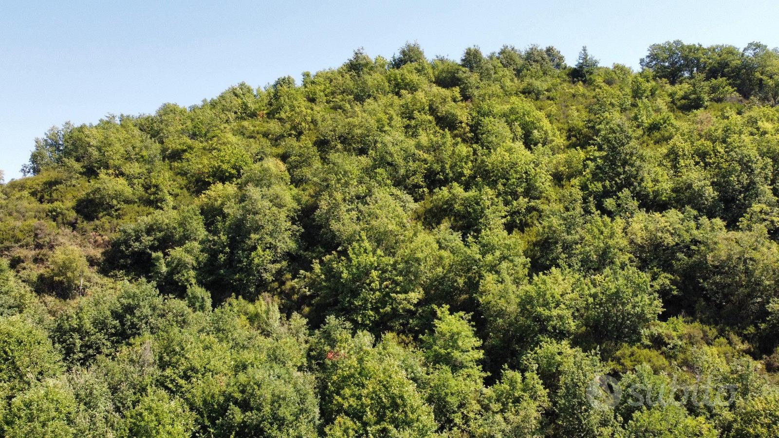 Terreno di 35000 mq - View 3