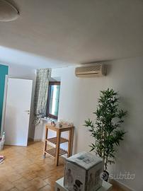 Bailocale massa centro