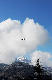 A Primiero in inverno