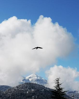 A Primiero in inverno