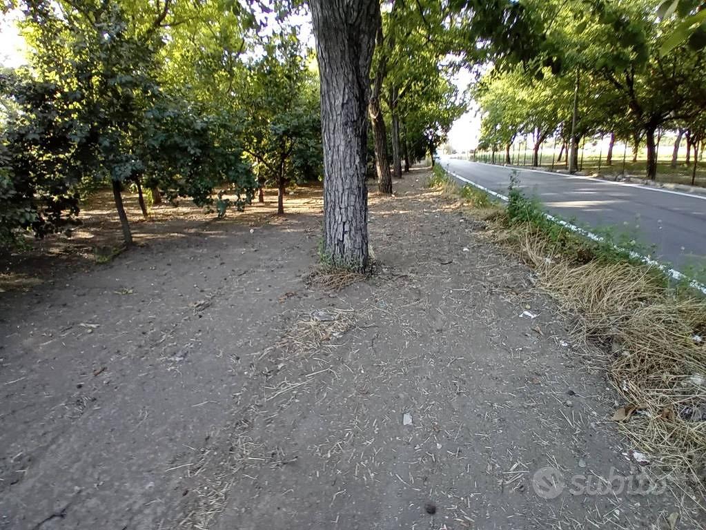 Terreno di 3537 m² a San Gennaro Vesuviano - Vista 4
