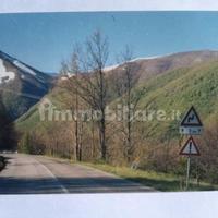 Pascolo boschivo immerso nella natura