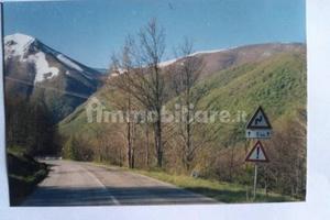 Pascolo boschivo immerso nella natura