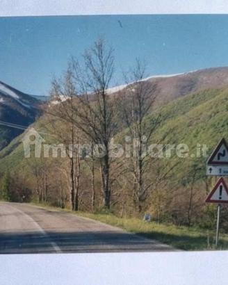 Pascolo boschivo immerso nella natura