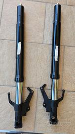 Yamaha R1 02 03 2002 2003 Steli Forcella