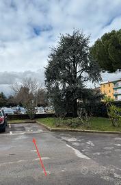 Posto auto Scandicci-De André