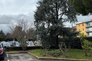 Posto auto Scandicci-De André