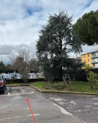 Aff. POSTO AUTO Scandicci-De André