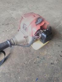 Decespugliatore ad asta