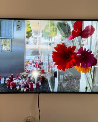 Smart TV  55 pollici Samsung