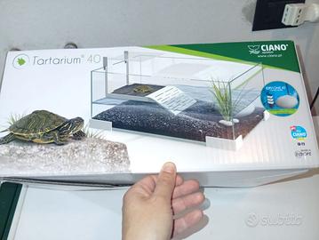 Tartarughiera in vetro Tartarium 40 Ciano