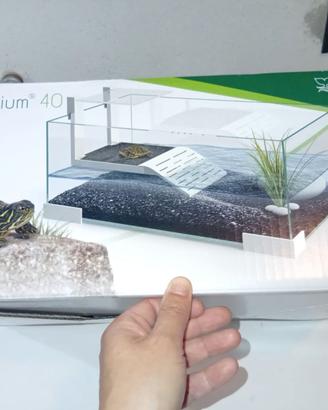 Tartarughiera in vetro Tartarium 40 Ciano