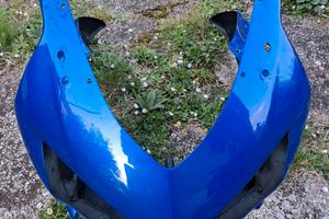 Carena Anteriore Vetroresina Honda CBR