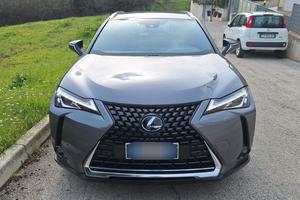 LEXUS UX250H PREMIUM Hybrid