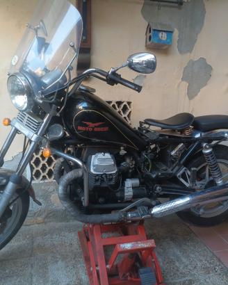 guzzi v35 florida