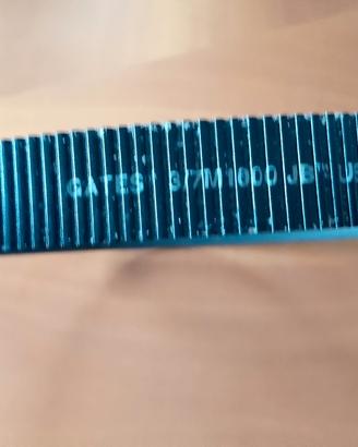 2 cinghie Gates 3/7M1000 e una 565  RPP 5