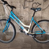 Mountain bike Lombardo 26