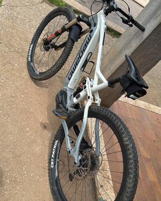 bicicletta elettrica