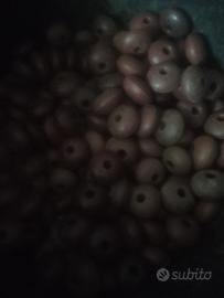 sugheri  per armare reti da pesca