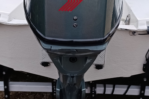 Fuoribordo Yamaha f25AE 4 Tempi