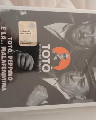 DVD originale “Totò, Peppino e la… Malafemmina”