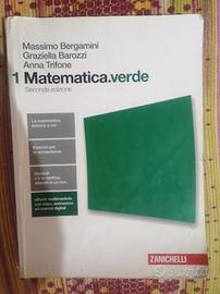 1 matematica verde 