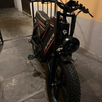 Bici elettrica g force