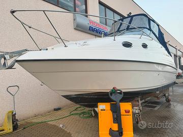 Barca cabinata 8 metri Regal 242