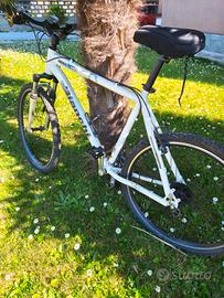 Mountain bike Bianchi 