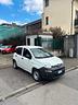 fiat-panda-1-2-pop-van-2-posti