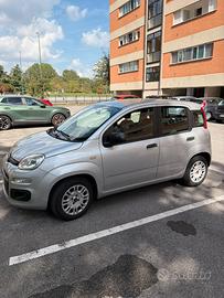 Fiat panda 1.2 easy - 2017 unico proprietario